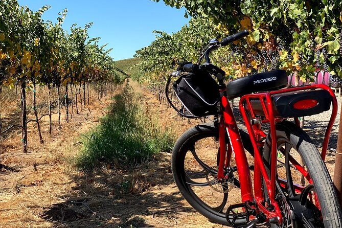 Electric Bike Rental in Livermore - Tips for a Memorable Experience