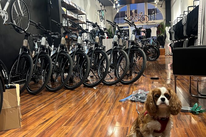 Electric Bike Rental in Santa Barbara - Meeting and Pickup Information