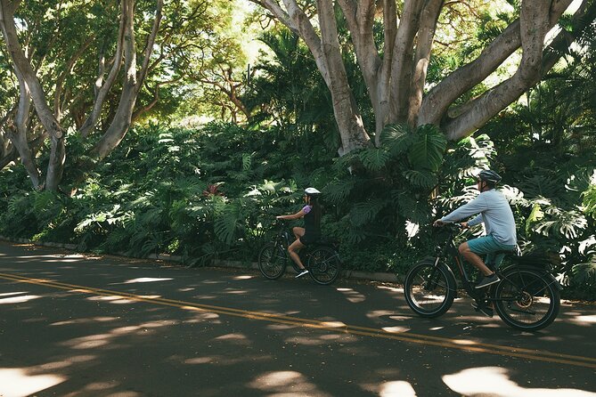 Electric Bike Rental in South Maui, Kihei - Meeting and Pickup