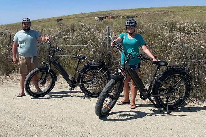 Electric Bike Rental in Temecula Wine Country - Scenic Experience
