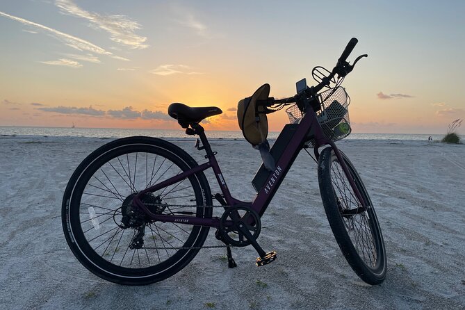 Electric Bike Rentals in New Port Richey - Accessibility and Participation