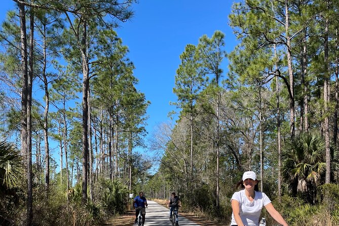 Electric Bike Rentals in New Port Richey - Pricing and Availability