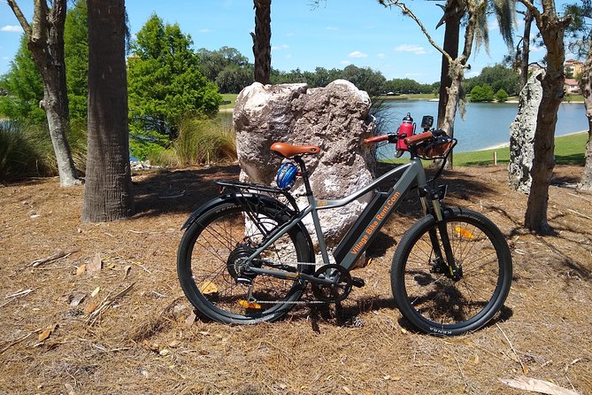 Electric Bike Rentals in the Villages Florida With Delivery - Key Points