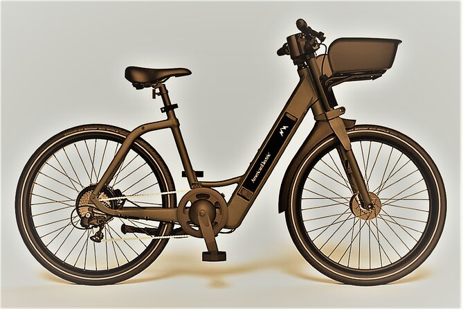 Electric Bike Rentals in the Villages Florida With Delivery - Benefits of Electric Bike Rentals