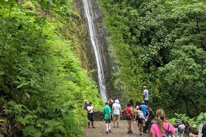Electric Bike Ride & Manoa Falls Hike Tour - Meeting and Pickup