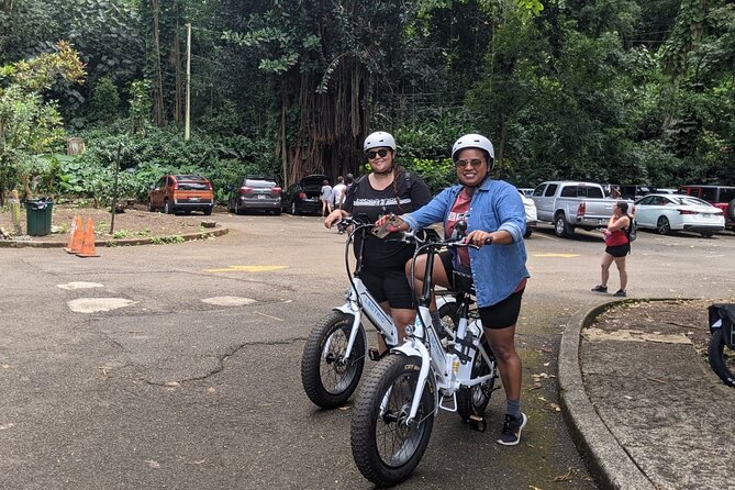Electric Bike Ride & Manoa Falls Hike Tour - Private Tour Experience