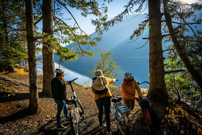 Electric Bike Ride on the Olympic Discovery Trail - Included Amenities