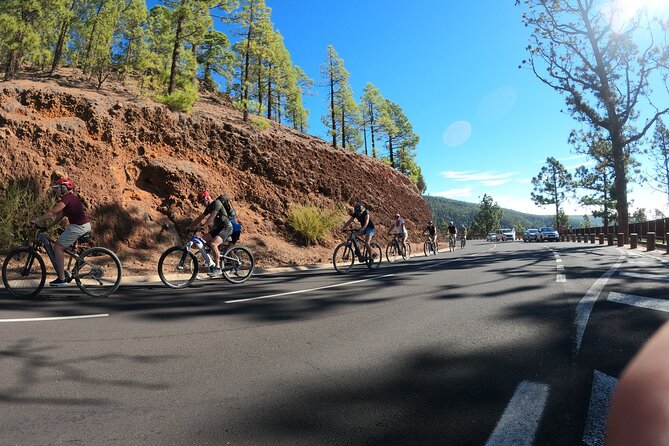 Electric Bike Teide Volcano Guided Tour - Participant Feedback