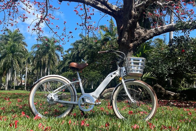 Electric Bike Tour in South Beach - Meeting and Pickup