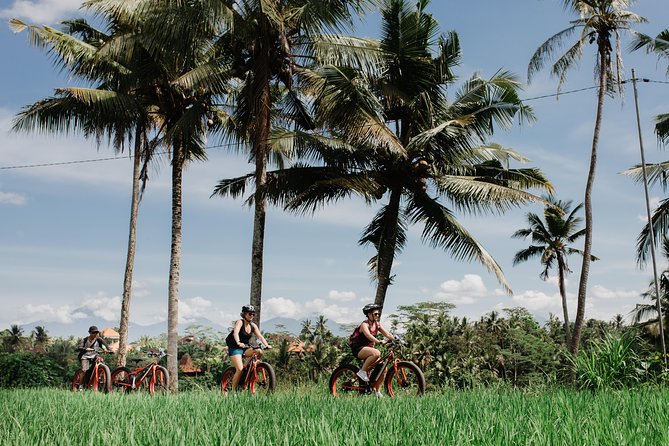Electric Bike Tour in Ubud - Group Size and Accessibility