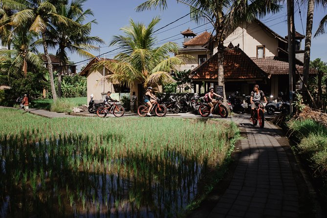 Electric Bike Tour in Ubud - Tour Schedule and Duration