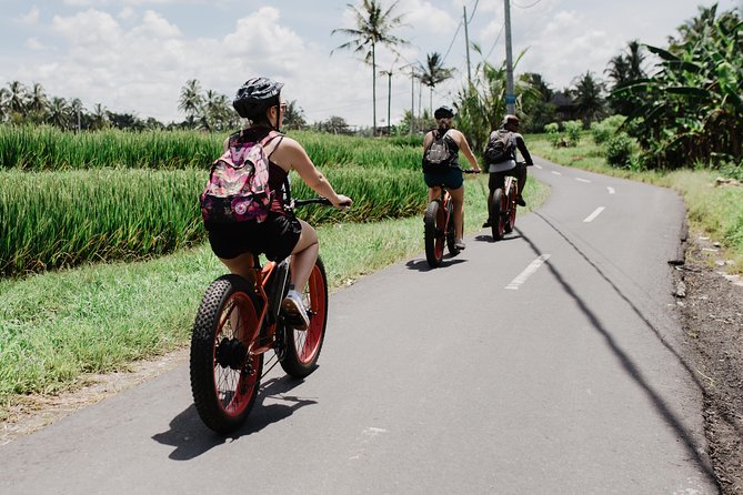 Electric Bike Tour in Ubud - Local Cuisine and Dining