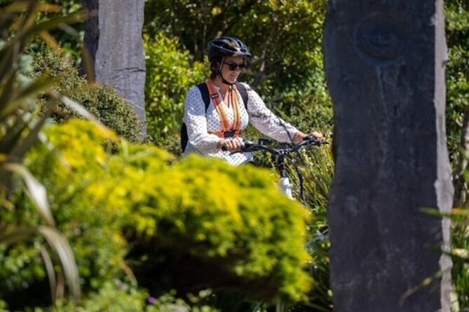 Electric Bike Tour of Kinsale With Expert Local Guide - Customer Feedback