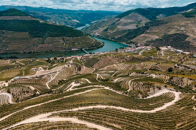 Electric Bike Tour Through the Douro Valley - Key Points