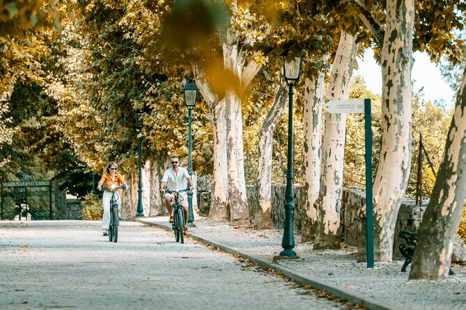 Electric Bike Tour Through the Douro Valley - Tour Duration and Flexibility