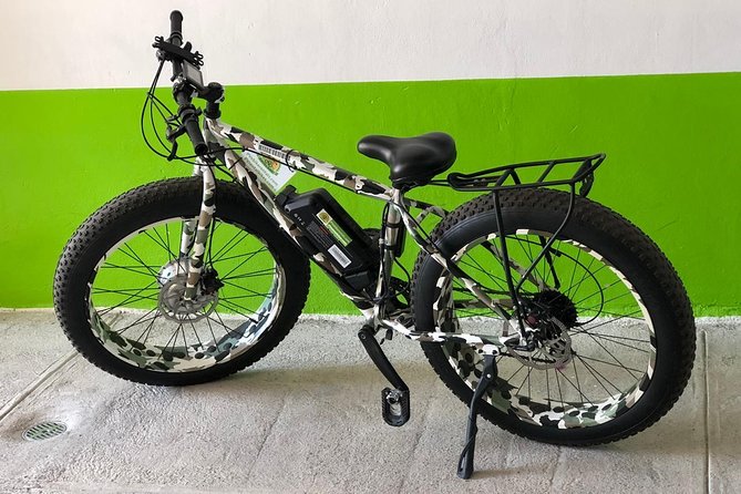 Electric Bikes Per Day - Key Points