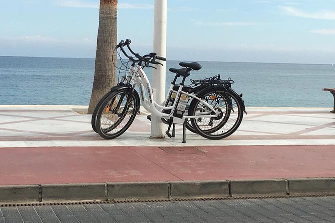 Electric Bikes Rental - Accessibility and Participation