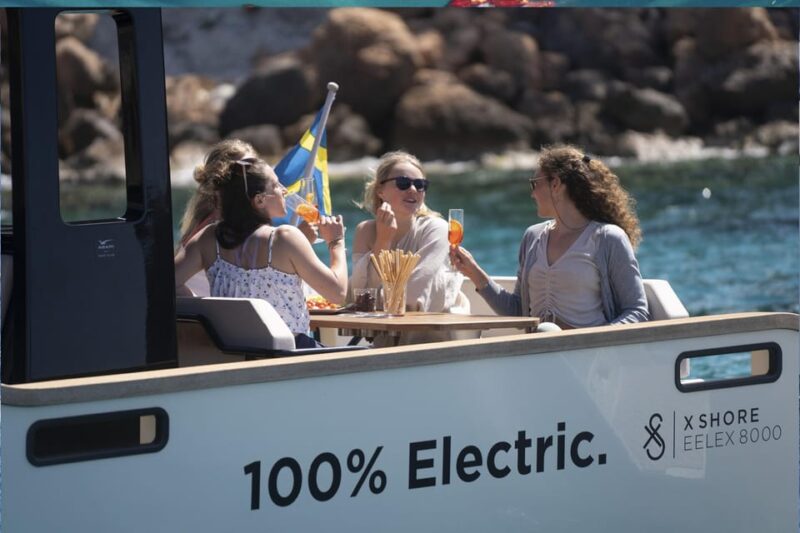Electric Boat Family Tour - Experience Highlights