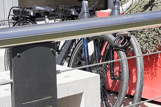 Electric City Bike Rental Tenerife - Participation and Experiences