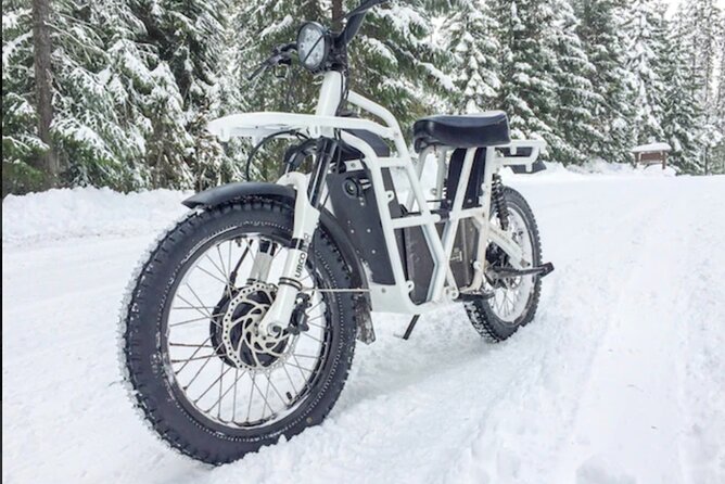 Electric Dirtbike Adventure in Lake Tahoe - Overview of the Experience
