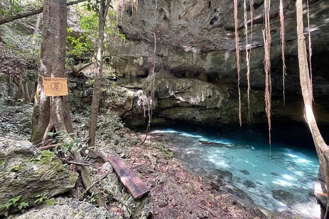 Electric Fatbike Ecological Tour in the Mayan Lands - Meeting and Pickup