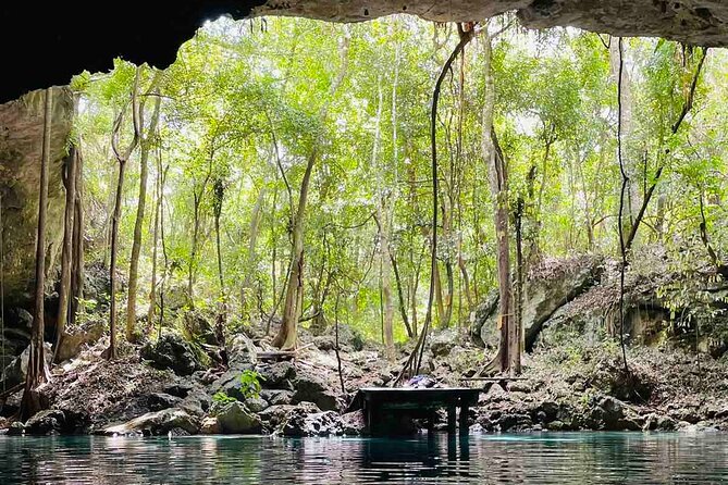 Electric Fatbike Ecological Tour in the Mayan Lands - Electric Fatbike Experience