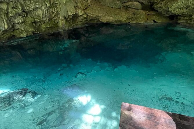 Electric Fatbike Ecological Tour in the Mayan Lands - Cenote Adventure