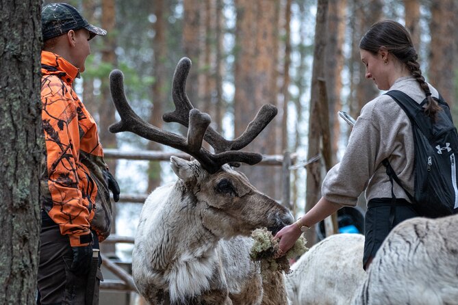 Electric Fatbike Trip to the Reindeer Farm - Gearing up for the Ride