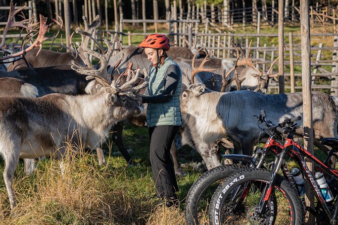 Electric Fatbike Trip to the Reindeer Farm - Returning to the Meeting Point