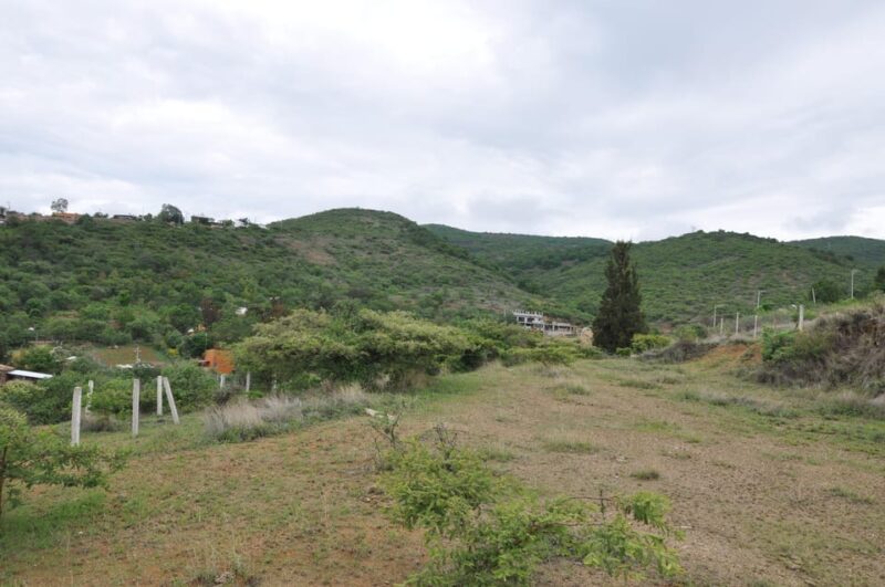 Electric Mountain Bike in Oaxaca - Key Points