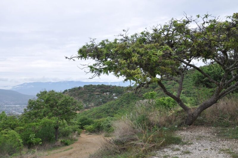Electric Mountain Bike in Oaxaca - Recommendations and Restrictions