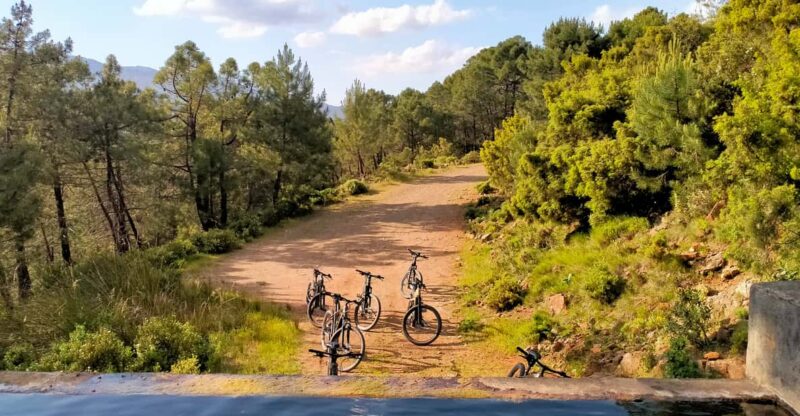 Electric Mountain Bike in Sierra De Las Nieves National Park - Itinerary