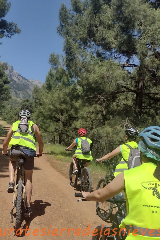 Electric Mountain Bike in Sierra De Las Nieves National Park - Detailed Itinerary and Activities