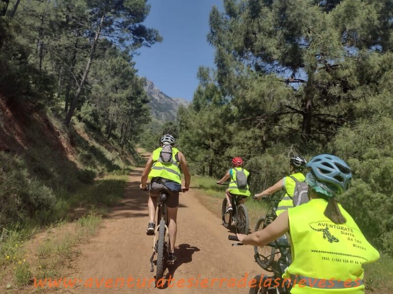 Electric Mountain Bike in Sierra De Las Nieves National Park - Meeting Point and Parking