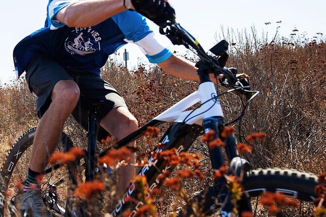 Electric Mountain Bike Rental Experience - Customer Reviews and Ratings