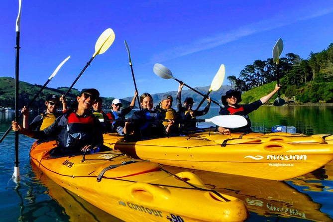 Electric Mountain Bike & Sea Kayak Tour in Akaroa - Inclusions and Equipment
