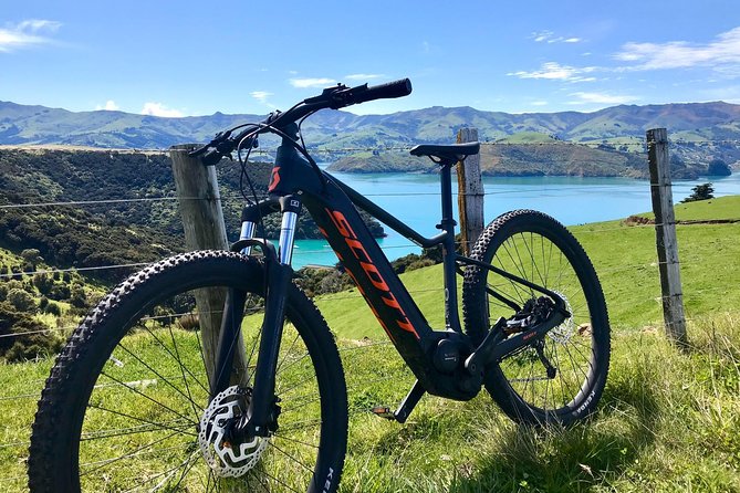 Electric Mountain Bike & Sea Kayak Tour in Akaroa - Reviews and Ratings
