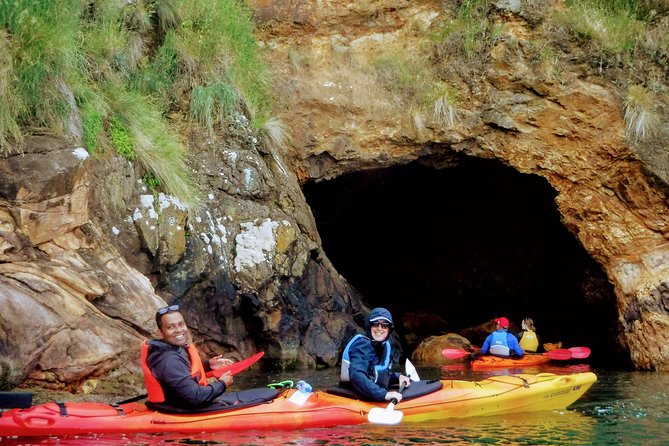 Electric Mountain Bike & Sea Kayak Tour in Akaroa - Exploring Akaroa by Bike and Kayak