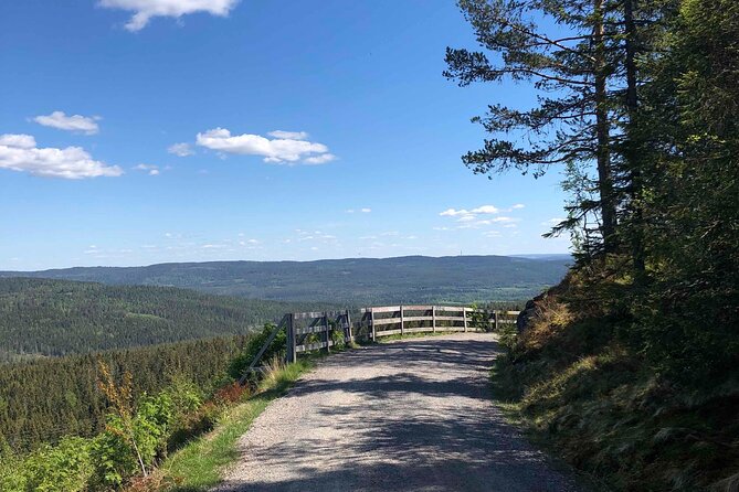 Electric Mountain Bike Tour in the Forest of Oslo - Discovering Nordmarka Area