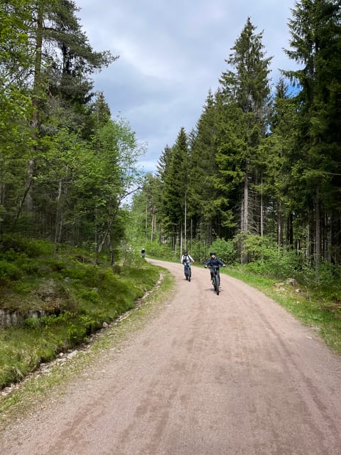 Electric Mountain Bike Tour in the Forest of Oslo - Key Points
