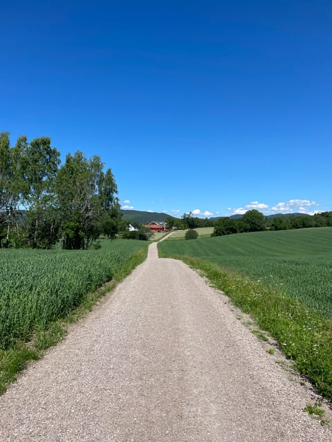 Electric Mountain Bike Tour in the Forest of Oslo - Tour Route and Highlights