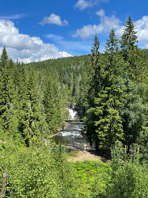Electric Mountain Bike Tour in the Forest of Oslo - Inclusions and Amenities