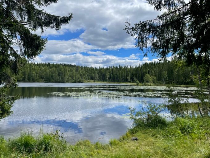 Electric Mountain Bike Tour in the Forest of Oslo - Customer Feedback and Ratings