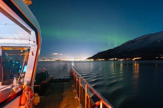 Electric Northern Lights Cruise - Tips for a Memorable Experience