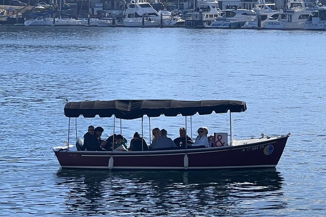 Electric Picnic Boat Rental in Newport Harbor for 12 Passengers - Positive Customer Reviews and Ratings