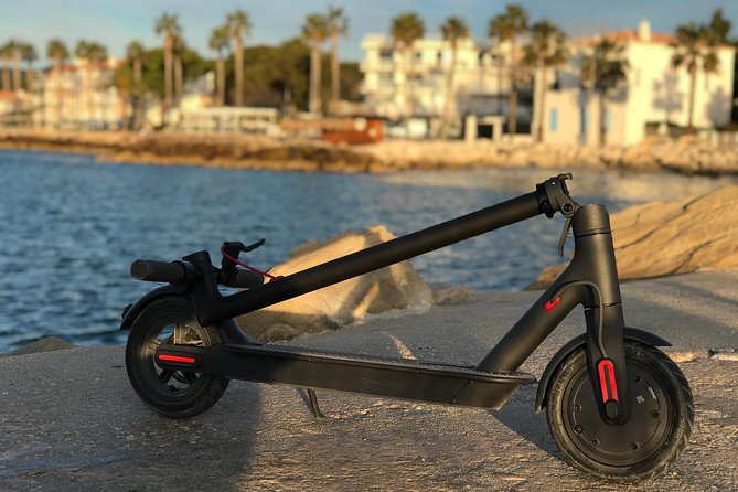 Electric Scooter Rental - Customer Ratings and Reviews