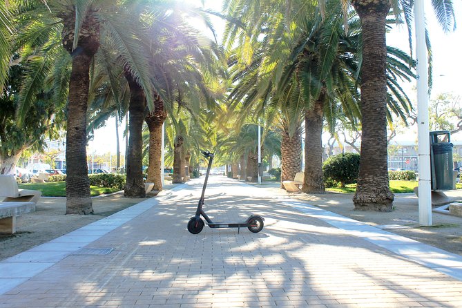 Electric Scooter Rental - Customer Reviews