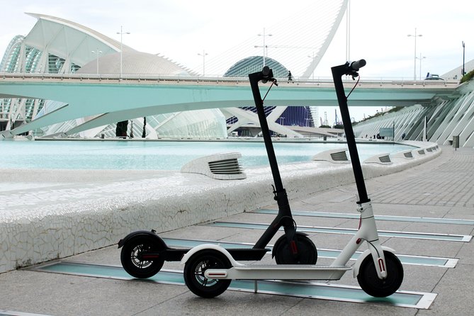 Electric Scooter Rental - Traveler Restrictions