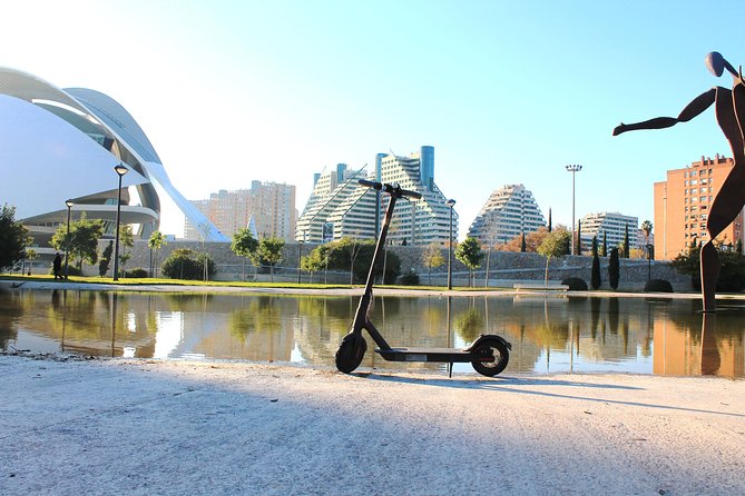 Electric Scooter Rental - Additional Information
