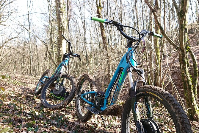 Electric Scooter Ride in the West of Lyon - Versatile Electric Scooters for All Terrains